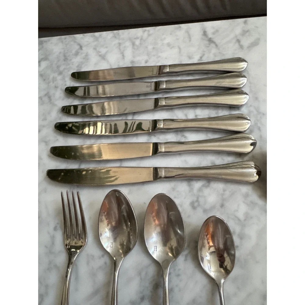 Fortessa forge stainless